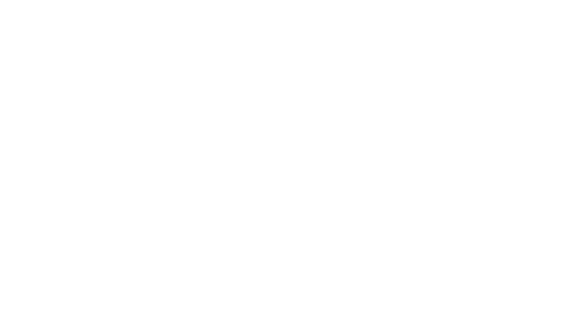 H11 Global Consulting H11 Global Consulting